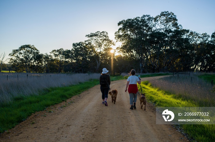 Hiking in the outback in the bush in australia. Girl walking in the forest in the great outdoors.