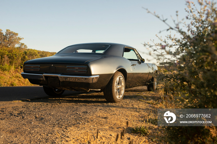 Muscle car 1967 back view