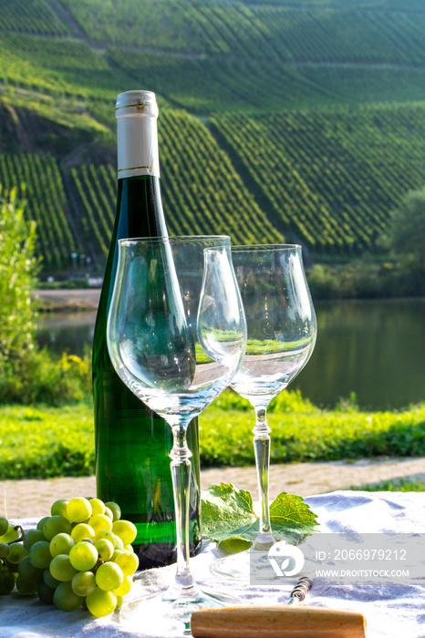 Famous German quality white wine riesling, produced in Mosel wine regio from white grapes growing on slopes of hills in Mosel river valley in Germany