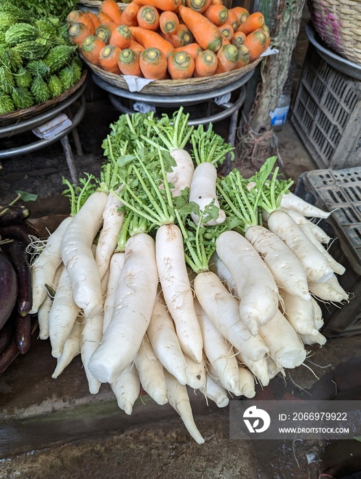 fresh radishes in market