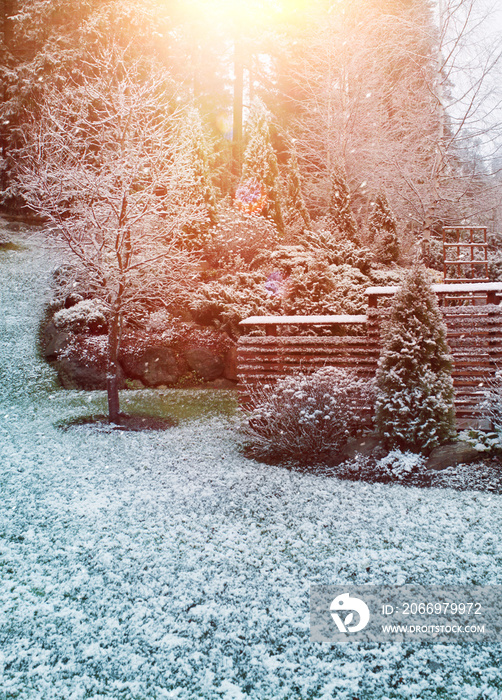 First winter snow falling in autumnal garden