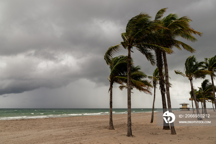 View of a beach and sea during a cloudy day before a storm