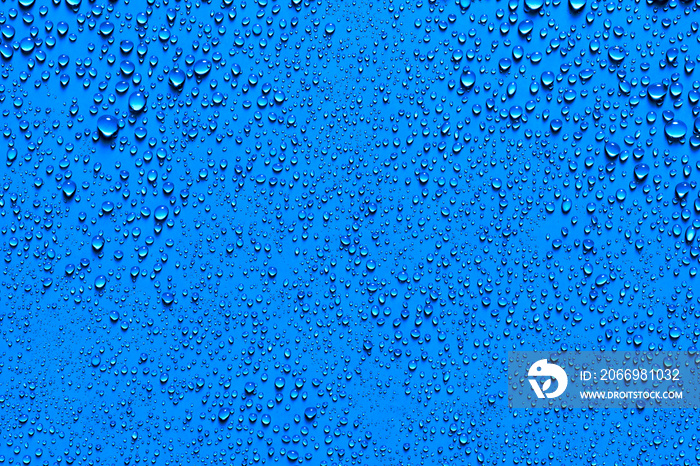 Beaded glistening water droplets on blue