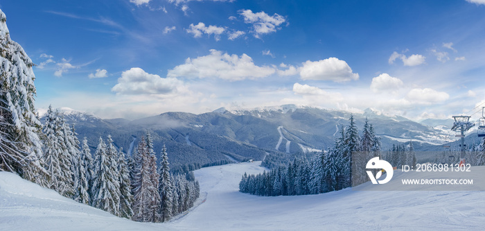 Ski slope among spruce forest on ski resort in Carpathians