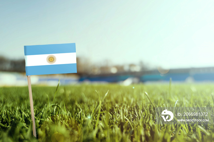 Miniature stick Argentina flag on green grass, close up sunny field. Stadium background, copy space for text.