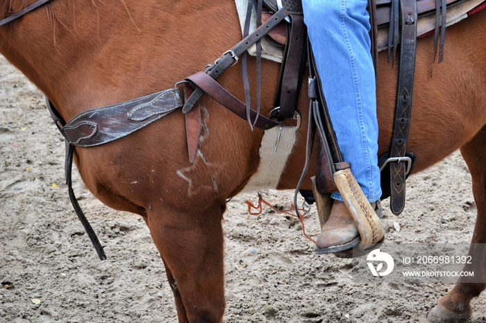 Close-up on the rider on the horseback, typical texas rodeo, Houston