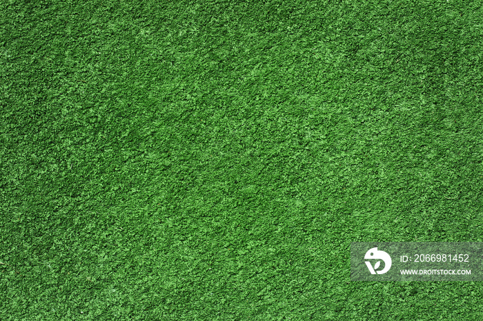 Background of the green football or soccer grass