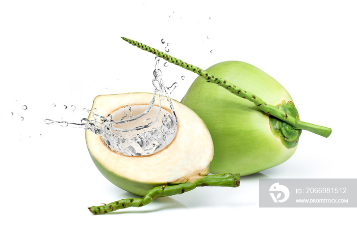 Coconut water splash isolated on white background.