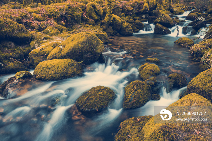 Fast flowing stream in ancient forest, toned and colored effect