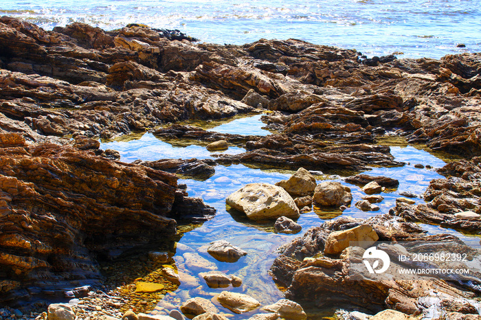 tidal pools in the rocks at the beach at Little Corona Beach in Newport Beach California