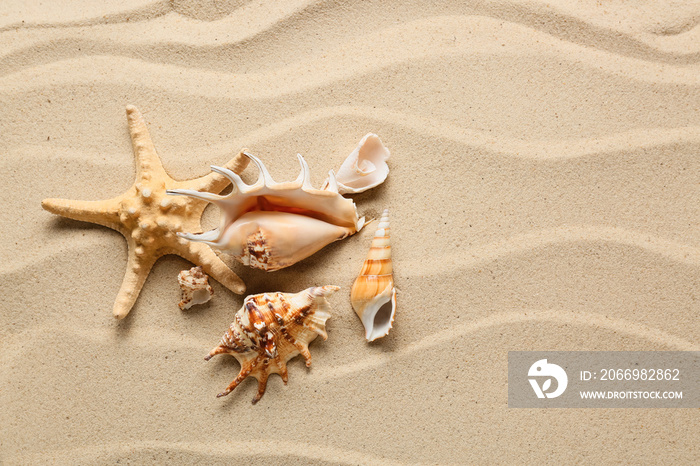 Starfish and different sea shells on beach sand