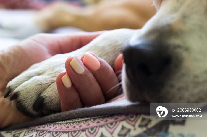 Woman enjoys spending time with her dog