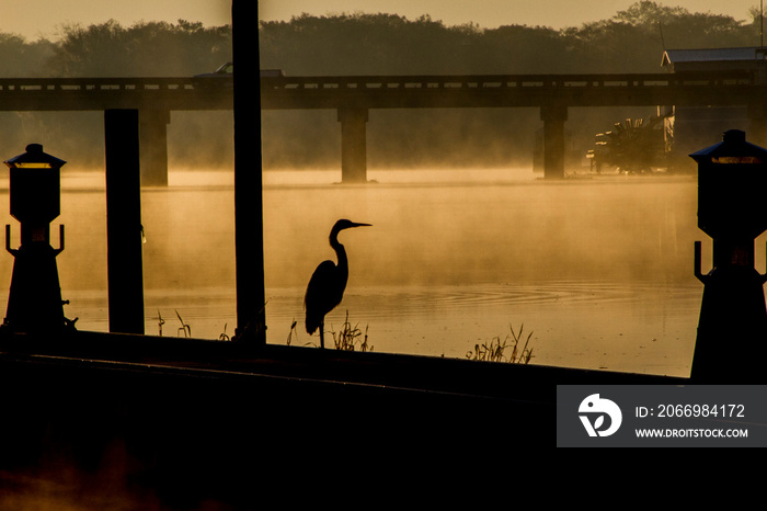 Foggy St johns River at Volusia County