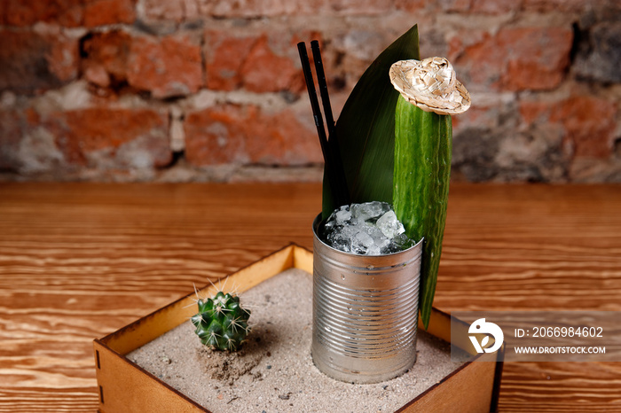 Refreshing cocktail with tequila cucumber, cactus and ice. Original feed in box with sand, leaf of greens.