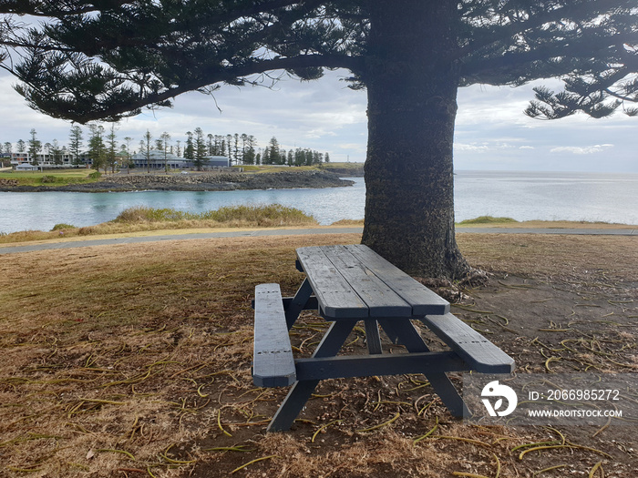 bench in the park with sea view