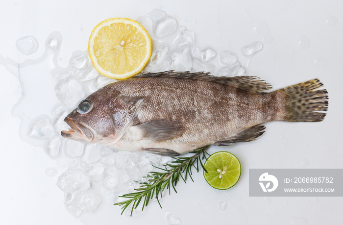 Grouper fish on ice with rosemary lemon, Fresh raw seafood fish for cooked food