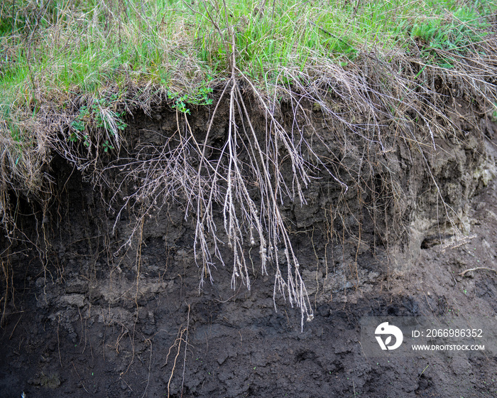 Soil Erosion in the Agricultural Field.