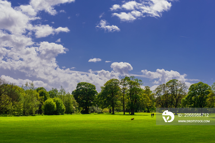 Witton Country Park on a summers day, Blackburn, Lancashire, England