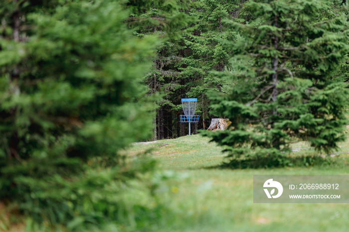 disc golf basket in the woods