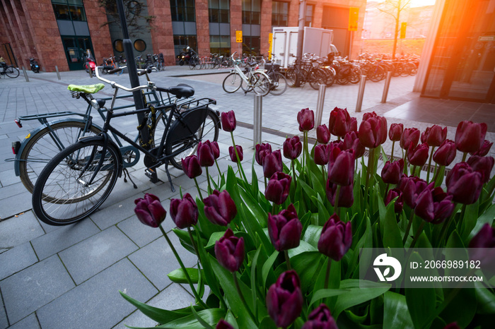 bicycle parking in amsterdam, netherlands