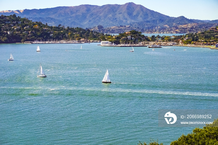 Ships sail in Belvedere Cove on a clear Autumn day, San Francisco bay, California