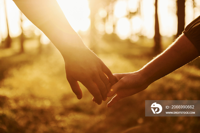 Close up view of hands. Happy couple is outdoors in the forest at daytime