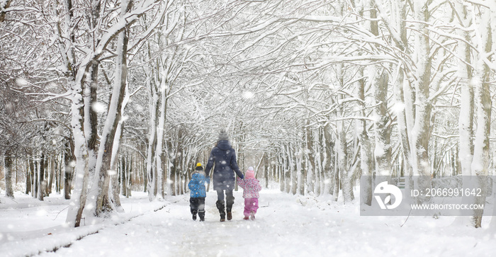 Winter park under the snow. A snowstorm in the city park. Park for walks with the whole family under the snow cover.