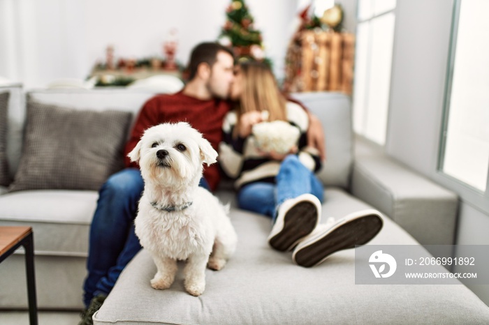 Young hispanic couple kissing and watching movie sitting on the sofa with dog at home.