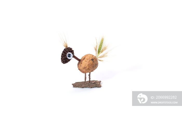 funny bird character made by child from natural material, autumn craft for preschooler