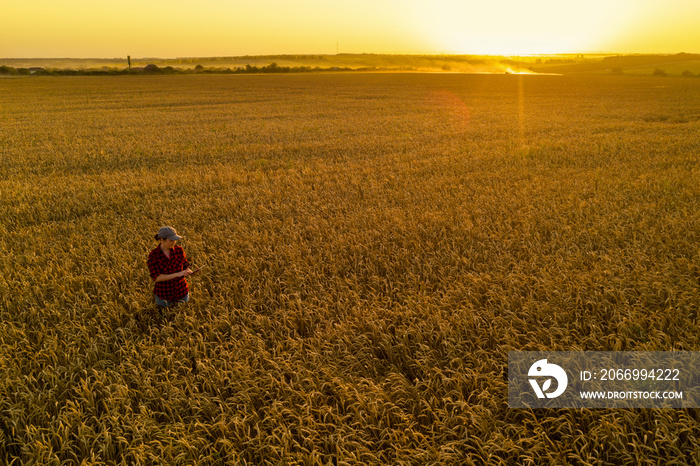 Farmer with digital tablet on a wheat field. Smart farming and digital transformation in agriculture.