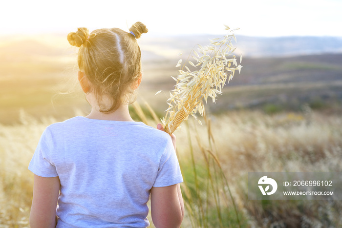 Autumn little girl enjoying nature on the field. Beauty Girl Outdoors holding spikes of wheat and ears of oats in sunlight rays. Back view beautiful Teenage with two hair bun standing on the meadow.