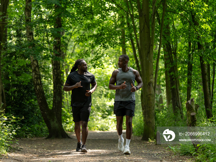 Two men jogging in forest in summer