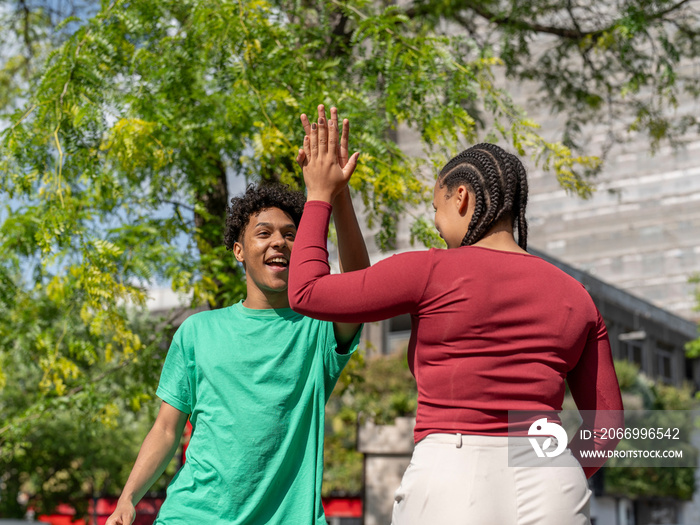 Two friends giving high-five on sunny day