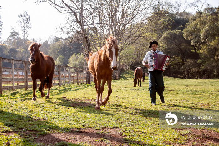 accordion, accordion player, animal, animals, background, boot, brazil, brazilian culture, churrasco gaucho, costume, costume clothes, country, countryside, cowboy, culture, equestrian, farm, farmer,