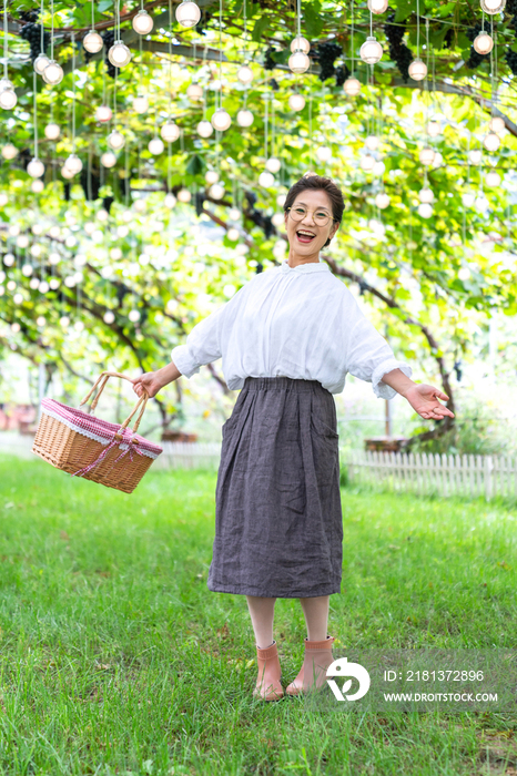 老年女人在果园采摘葡萄