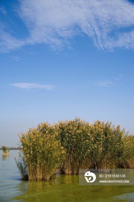 宁夏 银川 沙湖