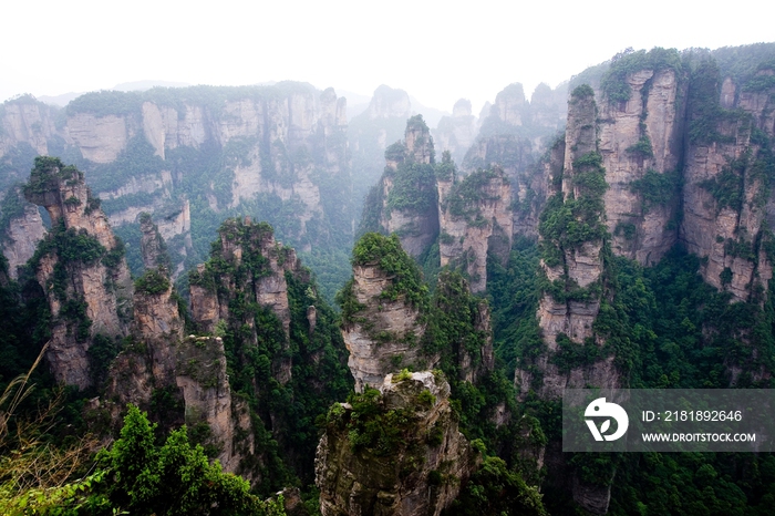 湖南,张家界,天子山,