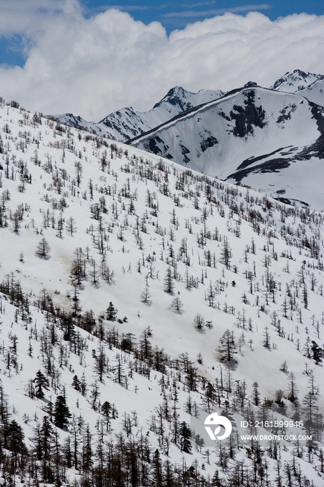 白马雪山