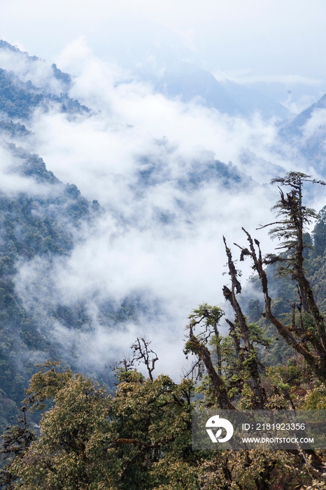 中国西南部山区风光