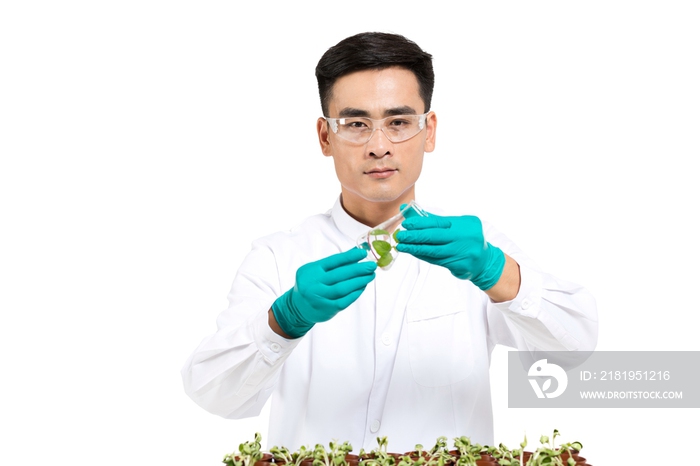 男科学家研究观察植物幼苗