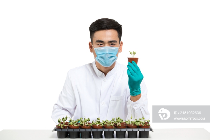 男科学家研究观察植物幼苗