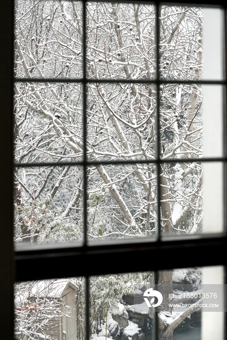 窗户外的雪景