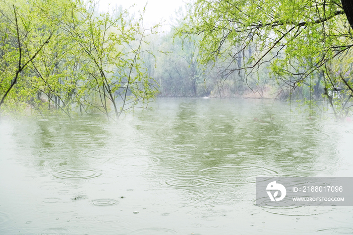 春雨滴在水面引起波纹