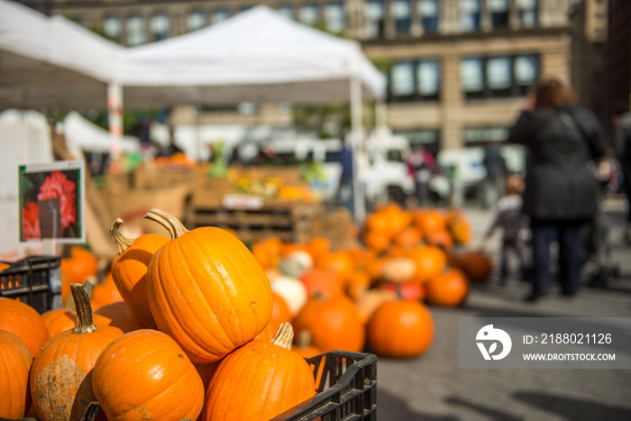 Pumpkins for sale, some days before Halloween celebration, in a street market at Union Square, Manha