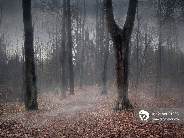 A path through a mystical misty forest to a dark castle