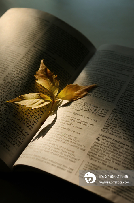 Autumn Dry Leaf On Open Bible and Sunrays