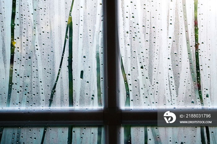 雨后的窗户局部