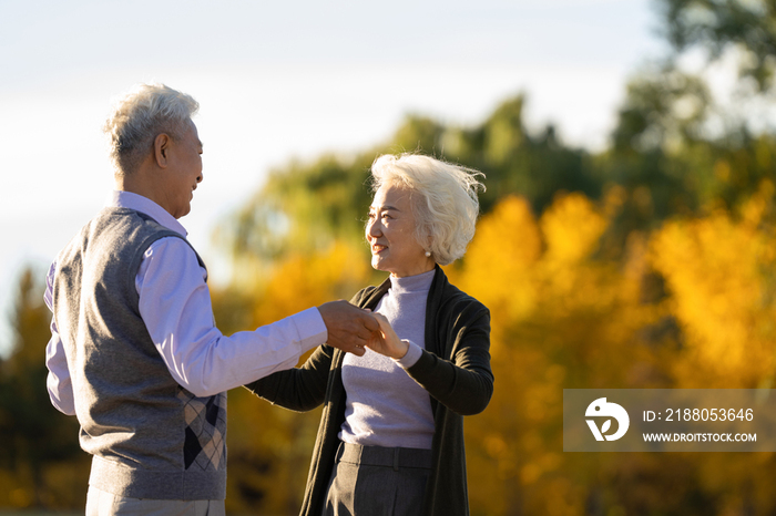 幸福的老年夫妇在户外跳舞