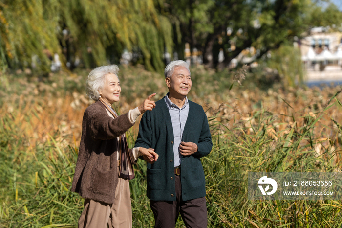 户外散步的幸福老年夫妇