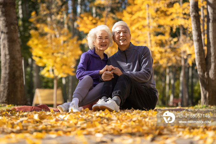 户外老年夫妇坐在落叶上